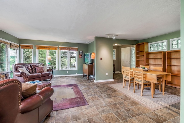 192 Askin Ln, Baxter, TN 38544 - living room featuring baseboards, stone finish floors, and a textured ceiling