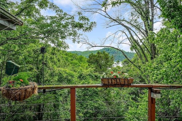 192 Askin Ln, Baxter, TN 38544 - view of yard with a mountain view and a forest view