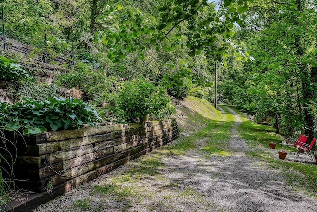 192 Askin Ln, Baxter, TN 38544 - view of dirt / gravel road