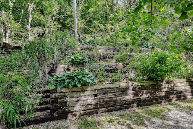 192 Askin Ln, Baxter, TN 38544 - view of yard