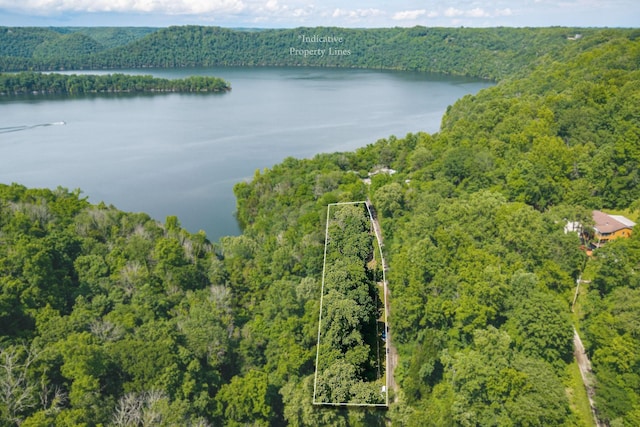 192 Askin Ln, Baxter, TN 38544 - aerial view of property's location featuring a heavily wooded area, a nearby body of water, and property boundaries highlighted