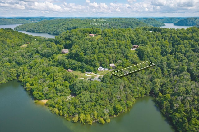 192 Askin Ln, Baxter, TN 38544 - view of property location featuring a forest, a nearby body of water, and property parcel outlined