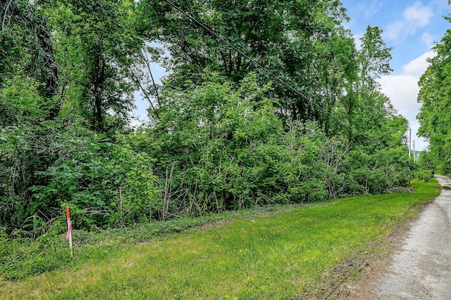 192 Askin Ln, Baxter, TN 38544 - view of road