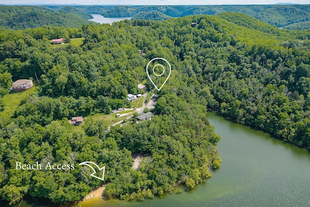 192 Askin Ln, Baxter, TN 38544 - bird's eye view of a forest and a nearby body of water