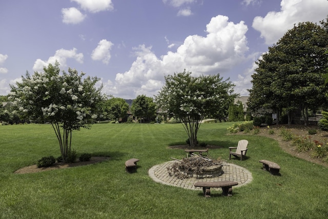 410 Dabney Dr, Franklin, TN 37064 - view of grassy yard