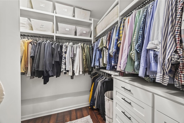 5517 Nevil Pt, Brentwood, TN 37027 - walk in closet featuring dark wood-style floors