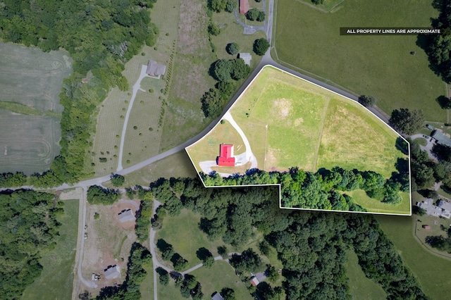 4499 Benson Rd, Springfield, TN 37172 - aerial overview of property's location featuring property parcel outlined