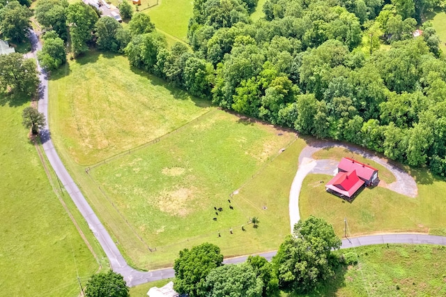 4499 Benson Rd, Springfield, TN 37172 - drone / aerial view