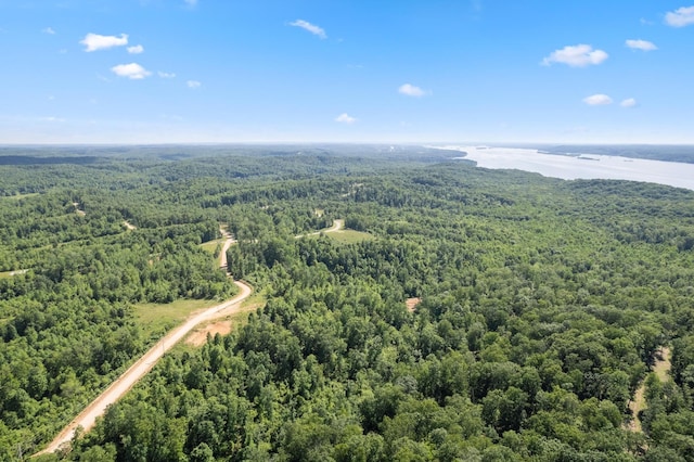 795 Bear Creek Rd, Waverly, TN 37185