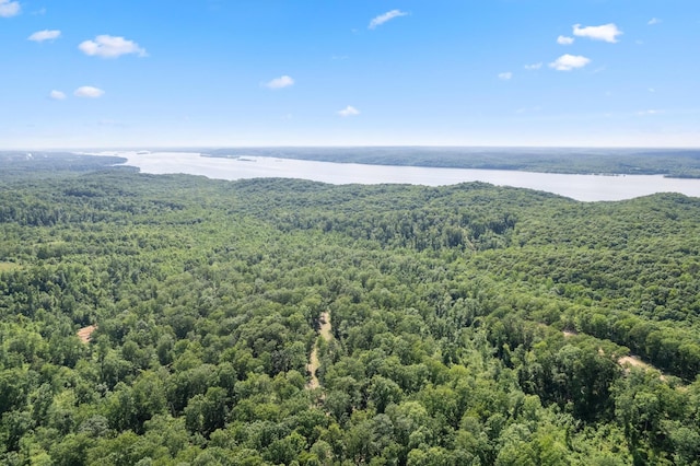 795 Bear Creek Rd, Waverly, TN 37185