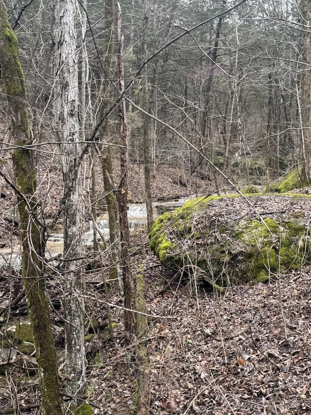 0 Patton Hollow Rd, Watertown, TN 37184 - photo 9