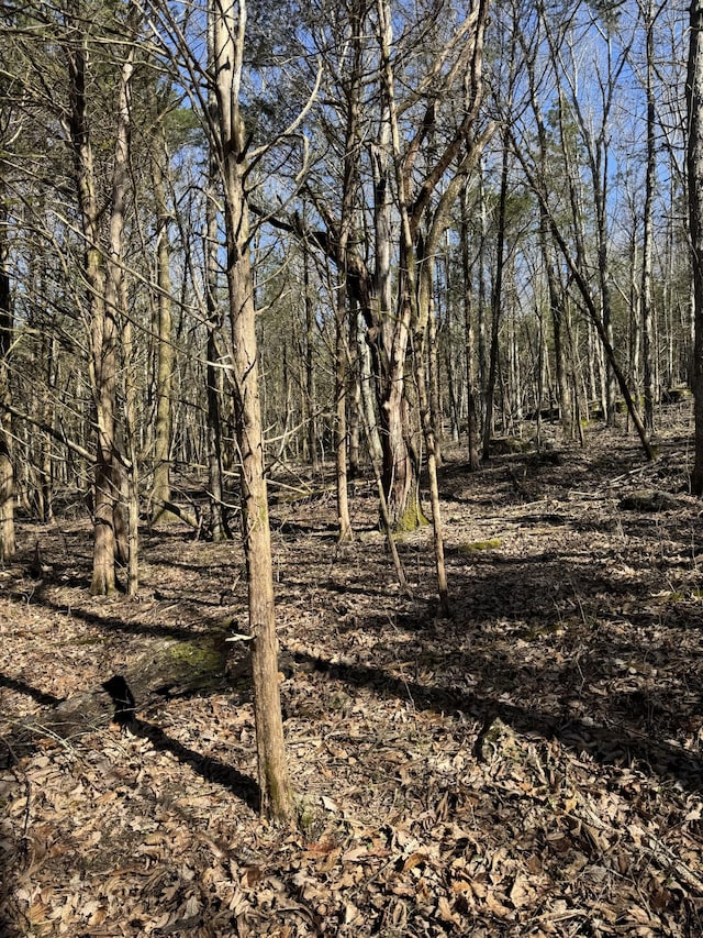 0 Patton Hollow Rd, Watertown, TN 37184 - photo 12