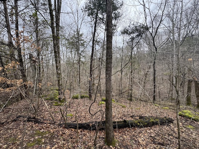 0 Patton Hollow Rd, Watertown, TN 37184 - photo 6