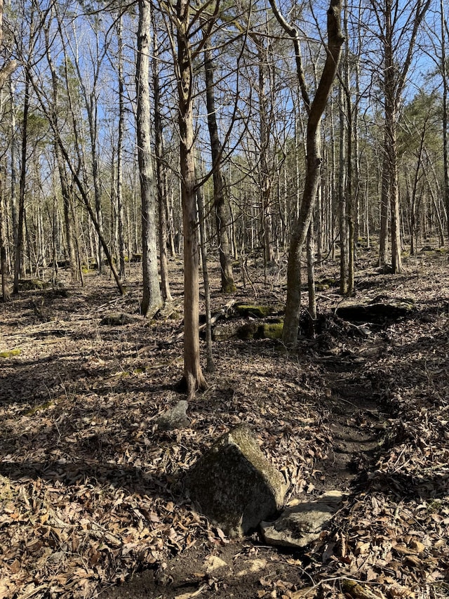 0 Patton Hollow Rd, Watertown, TN 37184 - photo 11