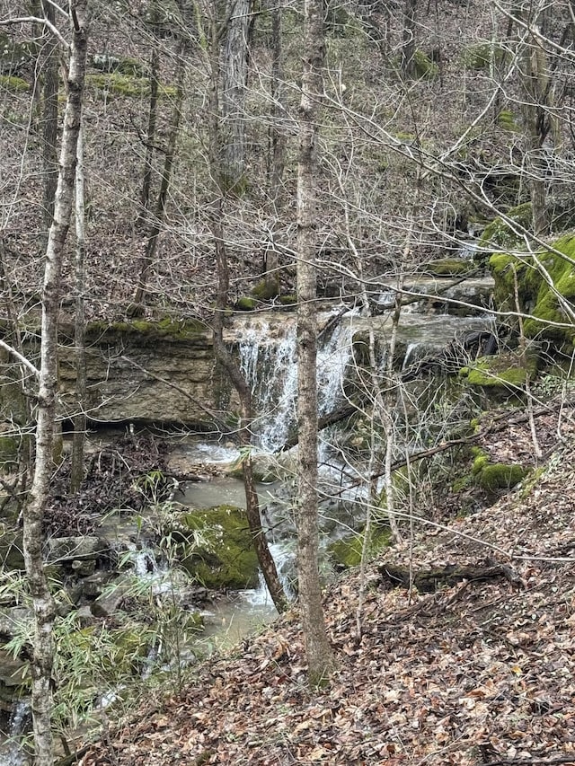 0 Patton Hollow Rd, Watertown, TN 37184 - photo 2