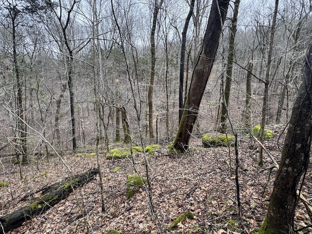 0 Patton Hollow Rd, Watertown, TN 37184 - photo 1