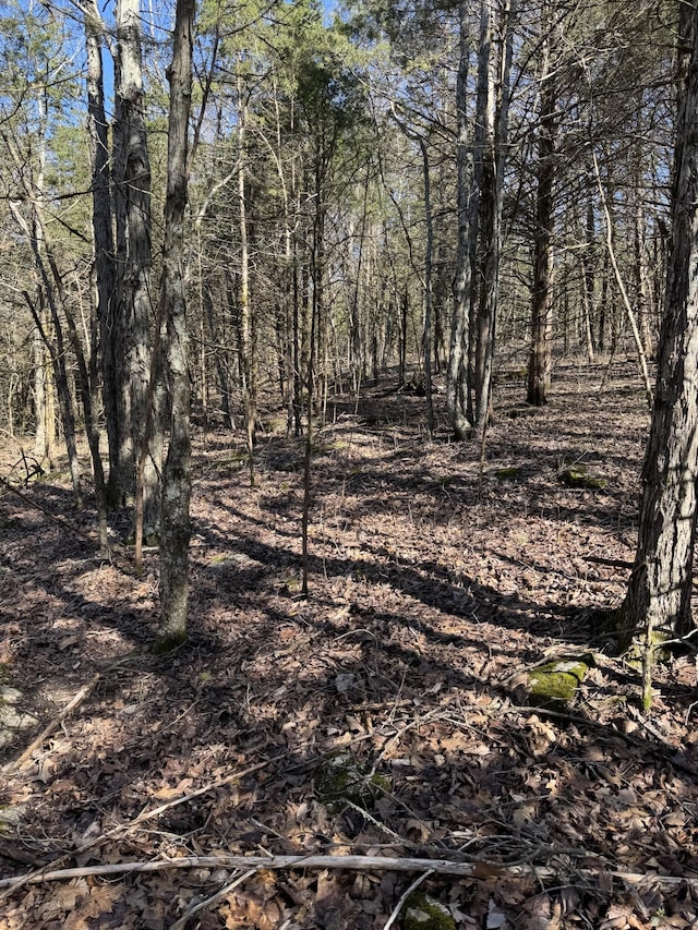 0 Patton Hollow Rd, Watertown, TN 37184 - photo 10