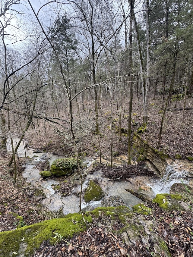 0 Patton Hollow Rd, Watertown, TN 37184 - photo 8