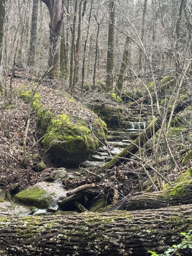 0 Patton Hollow Rd, Watertown, TN 37184 - photo 7