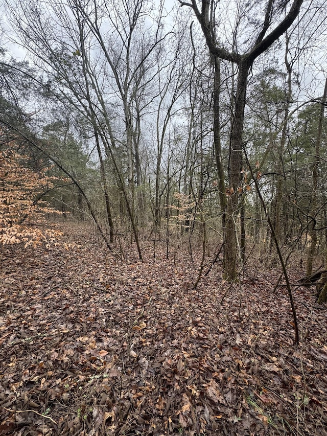 0 Patton Hollow Rd, Watertown, TN 37184 - photo 4