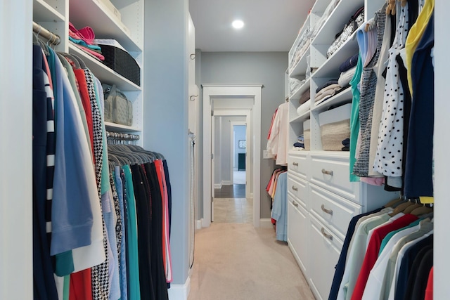 140 Split Rail Ln, Spring Hill, TN 37174 - walk in closet with light carpet