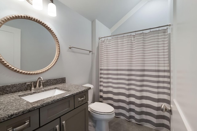 140 Split Rail Ln, Spring Hill, TN 37174 - bathroom featuring toilet, vanity, vaulted ceiling, and a shower with curtain