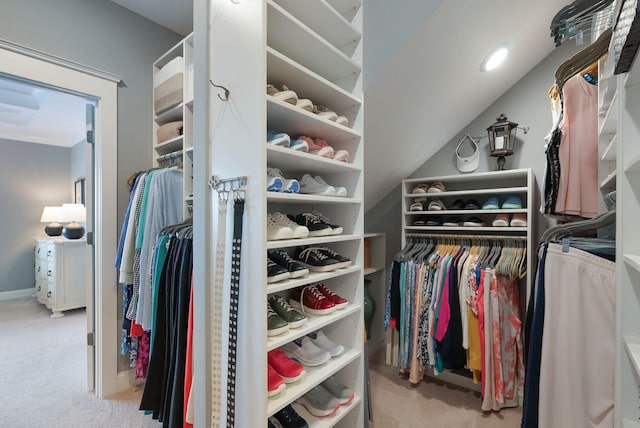 140 Split Rail Ln, Spring Hill, TN 37174 - walk in closet featuring carpet floors