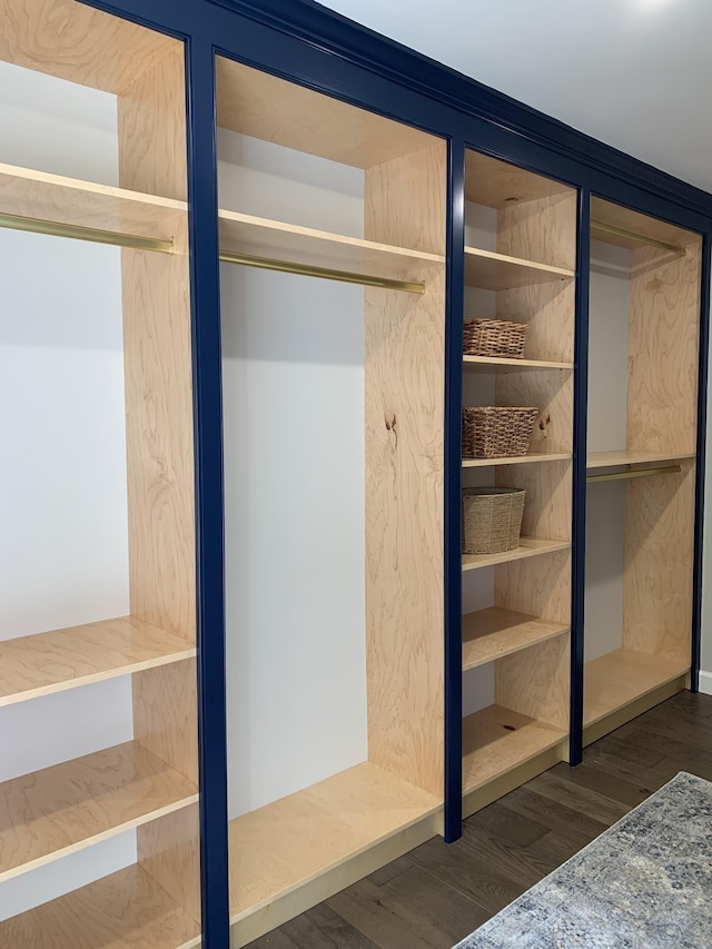 4626 Cato Rd, Nashville, TN 37218 - view of closet