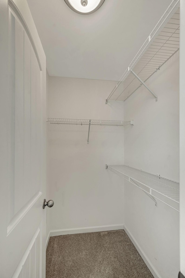 133 Cobblestone Place Dr, Goodlettsville, TN 37072 - walk in closet with carpet flooring