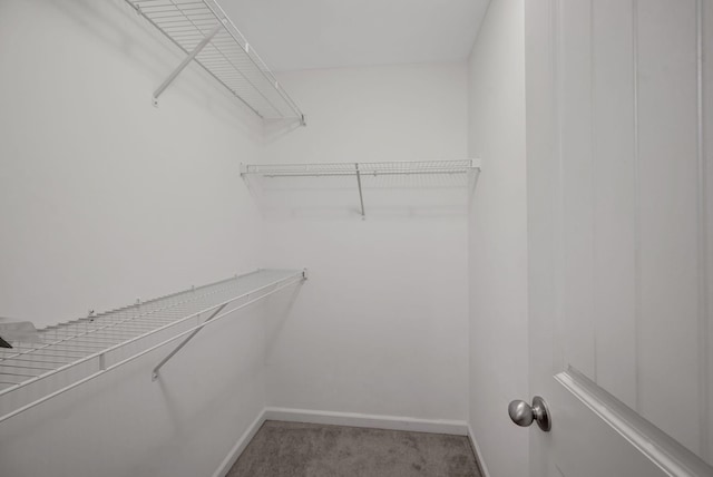 133 Cobblestone Place Dr, Goodlettsville, TN 37072 - spacious closet featuring carpet