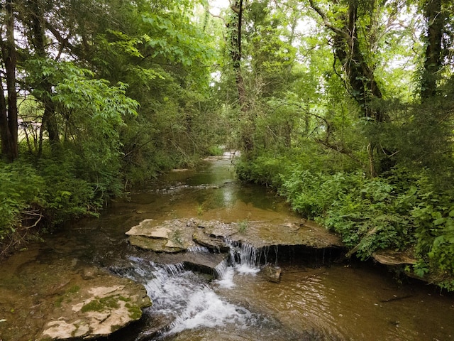 29 Roger Monk Rd, Petersburg, TN 37144 - view of woods