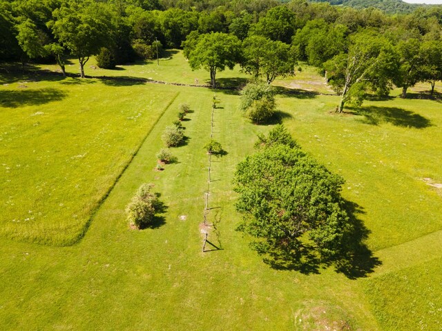29 Roger Monk Rd, Petersburg, TN 37144 - aerial view