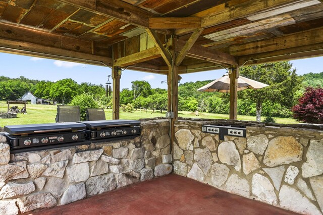 29 Roger Monk Rd, Petersburg, TN 37144 - view of patio / terrace with area for grilling and view of wooded area