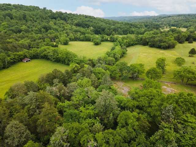 29 Roger Monk Rd, Petersburg, TN 37144 - bird's eye view of a heavily wooded area
