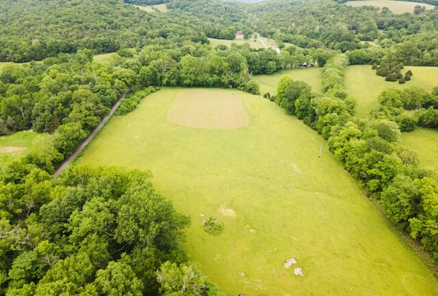 29 Roger Monk Rd, Petersburg, TN 37144 - bird's eye view of a forest