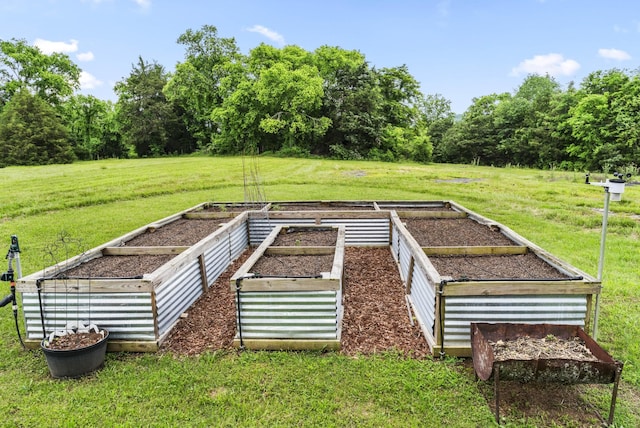 29 Roger Monk Rd, Petersburg, TN 37144 - view of green lawn with a garden
