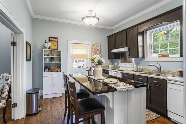 29 Roger Monk Rd, Petersburg, TN 37144 - kitchen featuring white appliances, under cabinet range hood, a sink, ornamental molding, and dark brown cabinetry