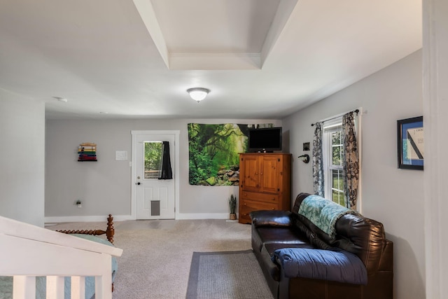 1818 Morningside Ave, Columbia, TN 38401 - carpeted living room with plenty of natural light and baseboards
