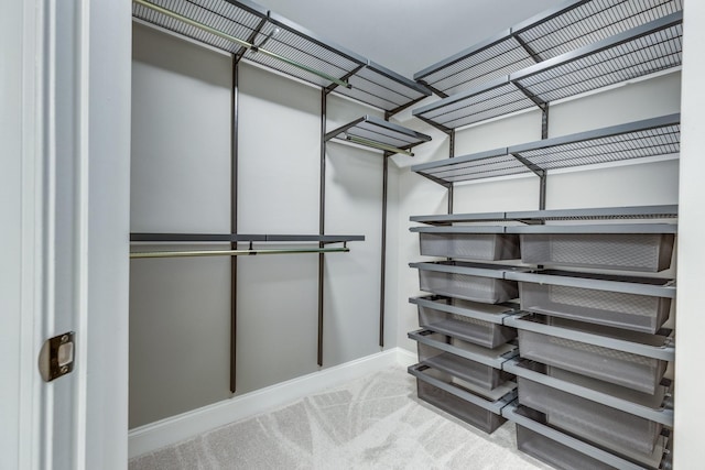 3201 Aspen Grove Dr Unit M4, Franklin, TN 37067 - walk in closet with carpet flooring