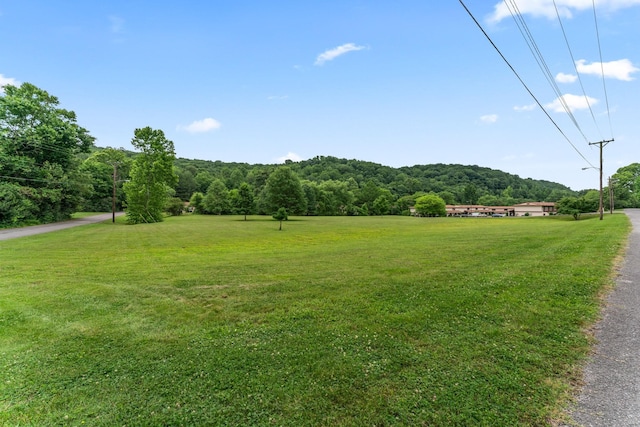 214 Old Hickory Blvd Unit 135, Nashville, TN 37221 - photo 17