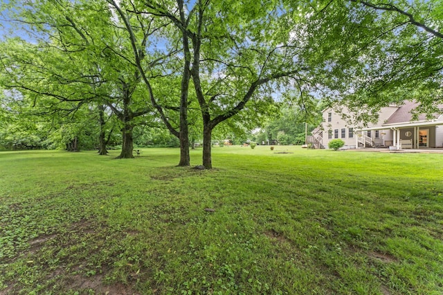 4312 Seminary Rd, Smyrna, TN 37167 - view of green lawn