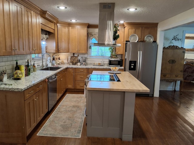900 Sorghum Hollow Rd, Pulaski, TN 38478 - kitchen featuring appliances with stainless steel finishes, island range hood, a sink, decorative backsplash, and dark wood-style floors