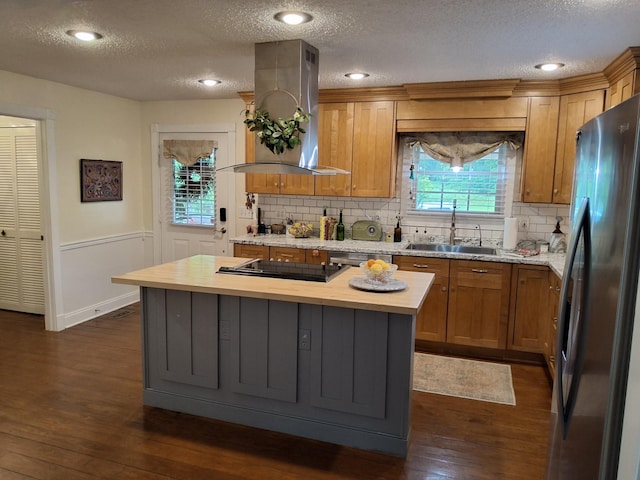 900 Sorghum Hollow Rd, Pulaski, TN 38478 - kitchen featuring stainless steel appliances, wall chimney range hood, a sink, a textured ceiling, and dark wood-type flooring