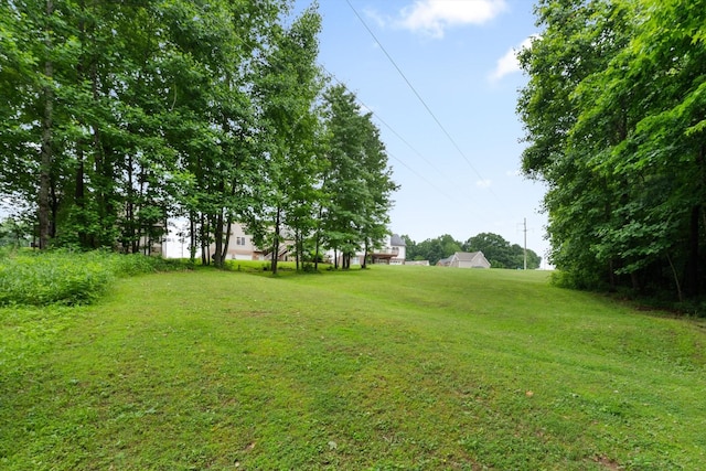 1823 Patricia Dr, Clarksville, TN 37040 - photo 27