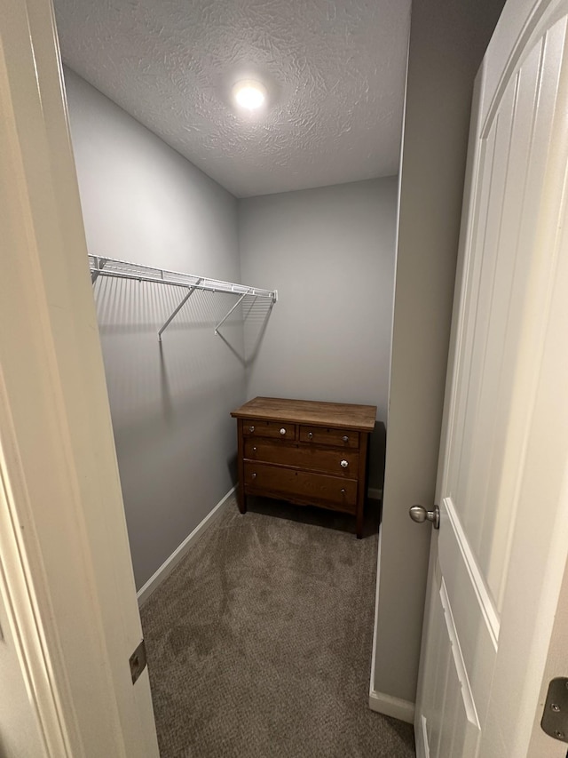 1158 Tradition Trl, Murfreesboro, TN 37130 - spacious closet with carpet flooring