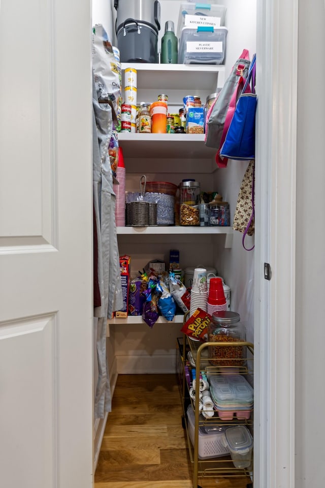 111 Madeleine Way, Kingston Springs, TN 37082 - view of pantry