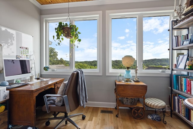 111 Madeleine Way, Kingston Springs, TN 37082 - office with plenty of natural light, wood finished floors, ornamental molding, and baseboards