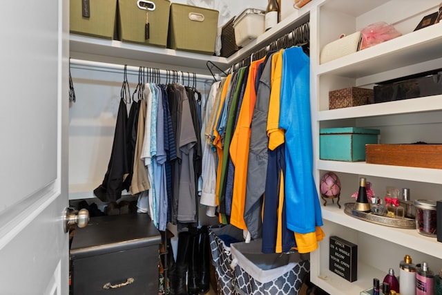 111 Madeleine Way, Kingston Springs, TN 37082 - view of walk in closet