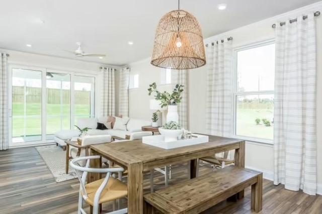 325 Sharp Way, Murfreesboro, TN 37128 - dining area featuring ceiling fan, wood finished floors, and recessed lighting