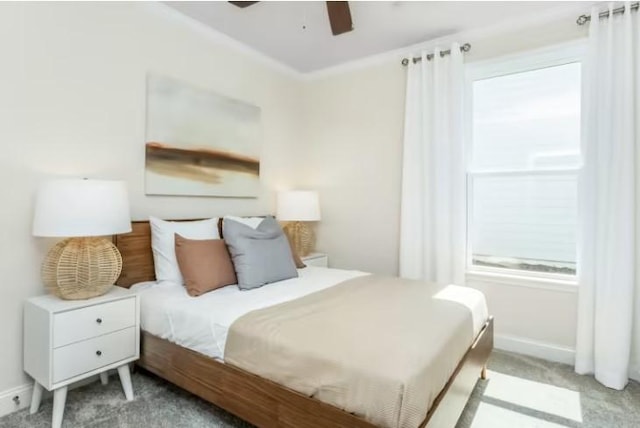 325 Sharp Way, Murfreesboro, TN 37128 - bedroom featuring carpet floors, baseboards, and ceiling fan